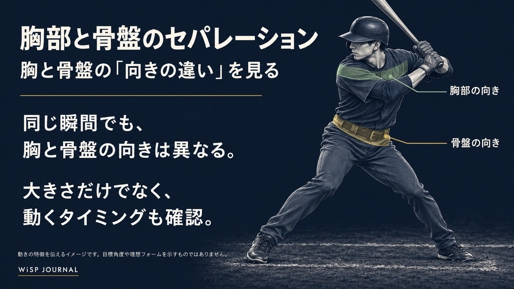 胸部を緑、骨盤を金色で示した、野球のセパレーションの説明イラスト
